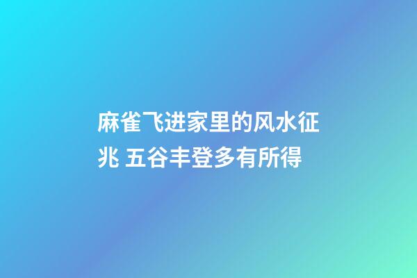 麻雀飞进家里的风水征兆 五谷丰登多有所得